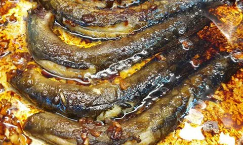 Loại cá thế giới ví như "sâm nước", hóa ra chợ Việt bán đầy
