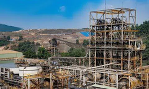 6.000 đồng/cổ phiếu năm 2026: MSR đặt nền móng cho chính sách cổ tức tiền mặt dài hạn