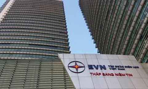 Tái cấu trúc Tập đoàn Điện lực Việt Nam (EVN)
