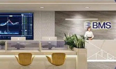 2 thành viên HĐQT Chứng khoán Bảo Minh đồng loạt từ nhiệm