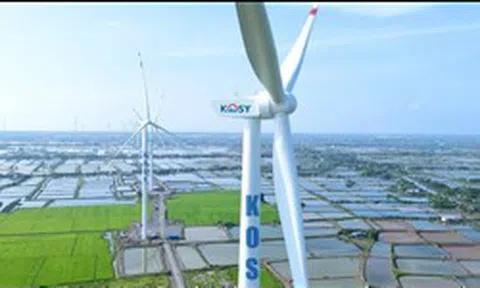 Cổ phiếu tiếp tục giảm sàn, Kosy giải trình gì?