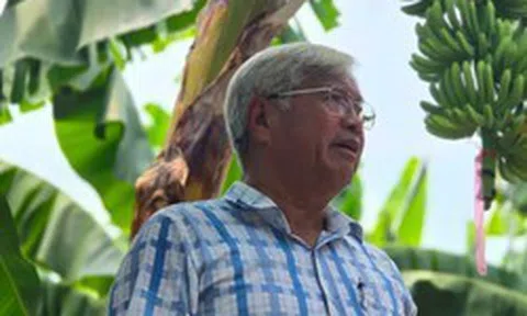 'Vua chuối' Việt Nam tay trắng làm nên cơ nghiệp 20 triệu USD/năm: Ngoài 70 tuổi vẫn dậy từ 5h sáng, tự nhận 'mình dở nên phải làm nhiều'