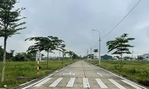 Tạo cơ chế để doanh nghiệp, hộ sản xuất tiếp cận mặt bằng