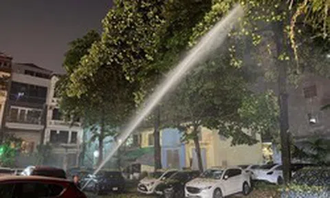 Mùi hương hoa sữa khiến người dân Thủ đô khó chịu: Đơn vị quản lý nói gì?