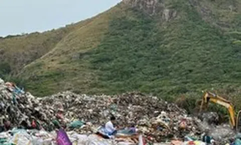 Bãi bỏ quyết định chuyển 1,92 ha rừng Côn Đảo làm nhà máy xử lý rác