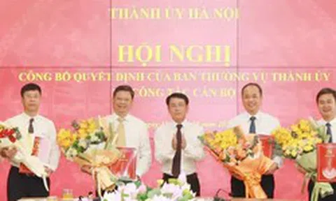 Điều động, chỉ định, bổ nhiệm nhân sự ở Hà Nội và 2 tỉnh, thành
