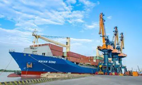 Chủ nhân 20 tàu container lớn nhất Việt Nam tính chi thêm 70 triệu USD đóng 2 tàu mới: Chờ 3 năm mới nhận, giữa lúc tàu cũ đắt gần bằng tàu mới