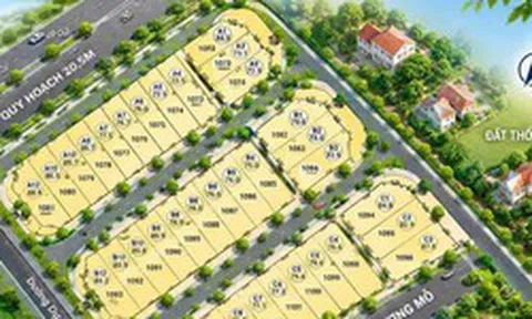 Xã Đan Phượng chuẩn bị đấu giá 36 thửa đất ở