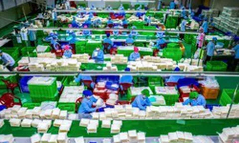 Giám đốc SN 1988 đưa đặc sản Việt siêu mỏng 0,3 mm ra thế giới, mỗi tháng xuất 9 tấn sang Hàn Quốc, có mặt tại Mỹ, Nhật và châu Âu