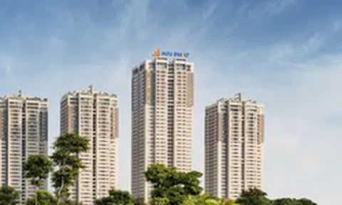 Vợ Chủ tịch Hải Phát Invest mua thành công 15 triệu cổ phiếu HPX