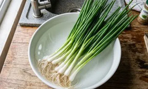 Mẹo bảo quản hành lá tươi trong tủ lạnh cả tháng, không lo héo úa
