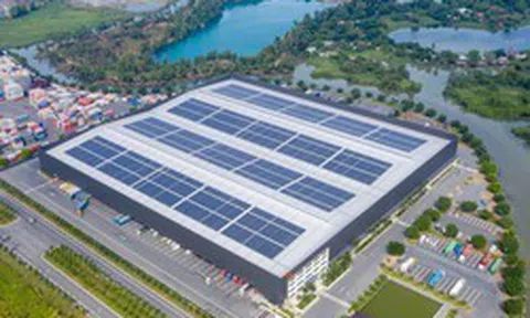Công ty con của REE thành lập công ty tài chính vốn điều lệ 1 triệu USD