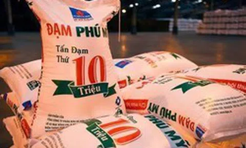 Nóng: Thanh tra Chính phủ công bố quyết định thanh tra  Đạm Phú Mỹ