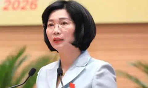 Vụ đổ phế thải khu đô thị Thanh Hà: Chủ tịch HĐND Hà Nội truy trách nhiệm đến cùng