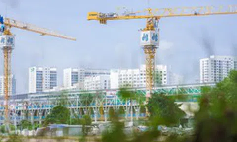 Xây dựng Hòa Bình miễn nhiệm một Phó Tổng Giám đốc