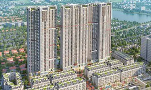 Văn Phú trả cổ tức bằng cổ phiếu, vốn điều lệ sắp chạm mốc 3.870 tỷ đồng