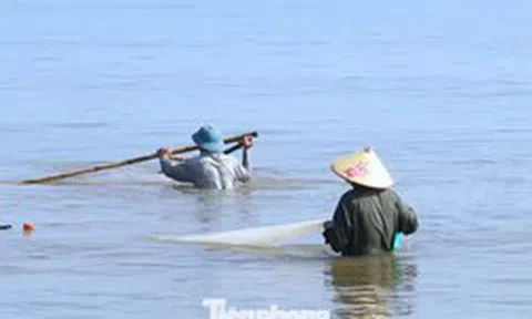 Nghề 'đi giật lùi' kiếm bộn tiền lúc sáng sớm