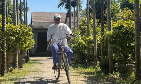 Cụ ông 100 tuổi ở Đà Nẵng không thích ăn rau, tiết lộ bí quyết sống khỏe