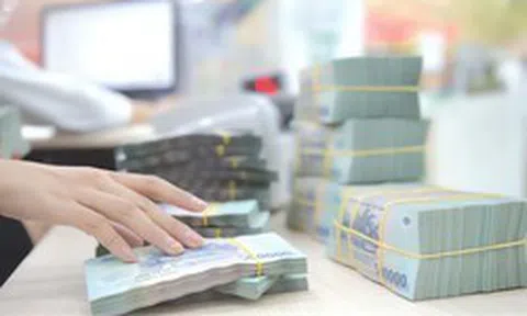 Chính phủ nêu lý do đề xuất phạt vi phạm hành chính đến 3 tỷ đồng
