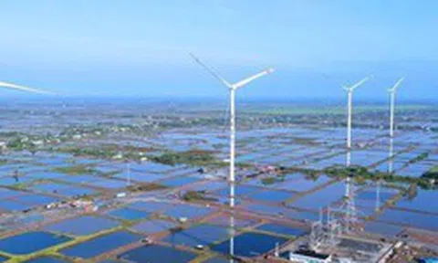 Chủ tịch Kosy Group và doanh nghiệp liên quan bị bán giải chấp cổ phiếu KOS