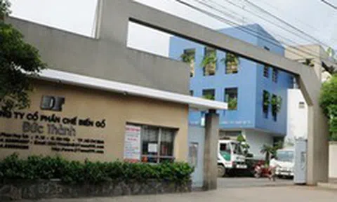 Gỗ Đức Thành bị phạt hơn 1,1 tỷ đồng do khai sai thuế suất