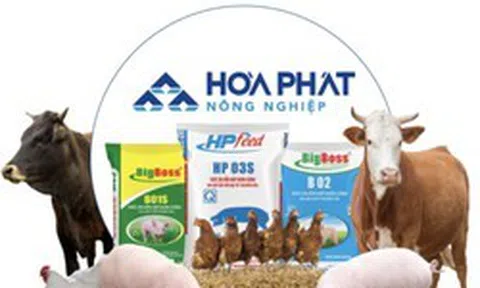 Công ty bán thịt heo, trứng gà của tỷ phú Trần Đình Long lãi 948 tỷ đồng sau 9 tháng, hoàn thành 94% kế hoạch năm