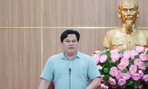 Quảng Ngãi tìm nguồn 1,5 triệu m3 đất san lấp cho dự án VSIP I