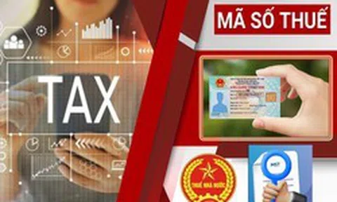 Nóng: Thuế Hà Nội công bố 3 kênh hỗ trợ doanh nghiệp giải thể, khôi phục và đóng mã số thuế