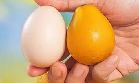 Đắt gấp 5 lần sầu riêng, láng giềng Việt Nam sở hữu báu vật nông sản được mệnh danh ‘Hermès trái cây’: Giá hơn 750.000 đồng/kg, trồng ít nhất 2 năm mới được thu hoạch
