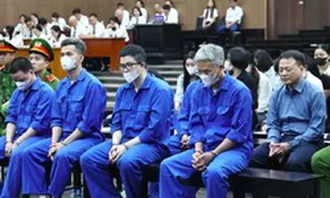 Tan cửa nát nhà vì lời trấn an ‘của Shark Bình đó, yên tâm mà nạp’