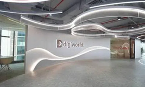 Lợi nhuận 9 tháng đầu năm tăng gấp đôi, cổ phiếu Digiworld giảm sàn: Điều gì đang xảy ra?