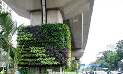 Trụ đường sắt, hầm chui Hà Nội 'lột xác' sau khi phủ cây xanh