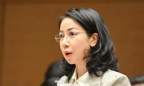 Trải thảm đỏ đón 'đại bàng', tạo điều kiện để hàng triệu 'chim sẻ' lớn mạnh