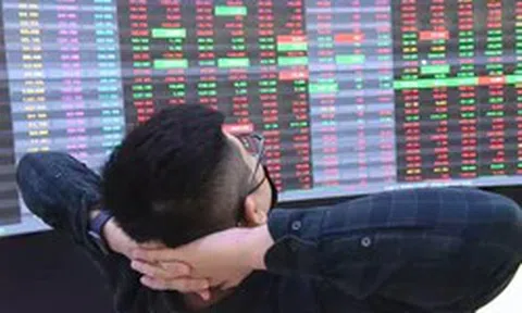 Một cổ phiếu vừa ngắt chuỗi 29 phiên giảm sàn liên tiếp, 1/3 công ty đổi chủ