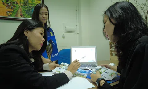 HALOLAND Thương hiệu chuỗi văn phòng cho thuê vươn mình sau đại dịch