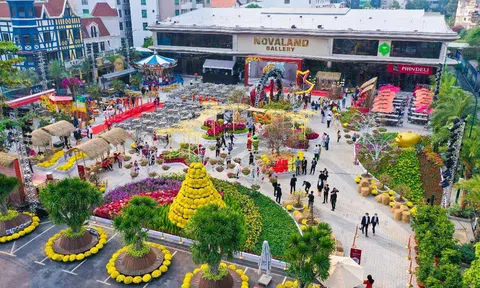 Chuỗi sự kiện Hội Hoa Xuân Tết 2022 độc đáo với chủ đề “Gói tinh hoa - Trao may mắn” tại Novaland Gallery từ ngày 08/01 – 06/02/2022