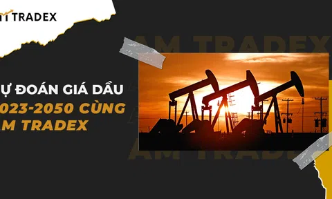 Dự Đoán Giá Dầu Trong Tương Lai Cùng AM Tradex