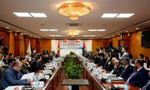 31 năm phát triển ngoại giao và kinh tế Việt Nam - Oman