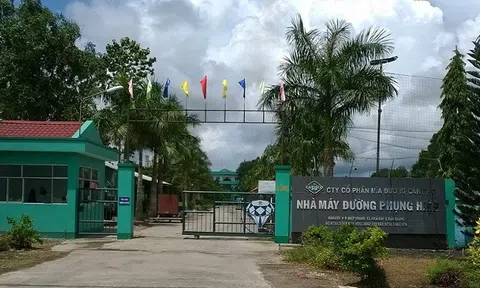 “Ông lớn” mía đường miền Tây liên tục nhận trái đắng