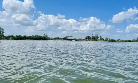 Một phần dự án Coastal Quảng Ngãi của Newhaus nằm trên đất rừng phòng hộ