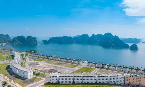 Vịnh giải trí Safabay Cẩm Phả đón đầu chu kỳ tăng trưởng mới của thị trường