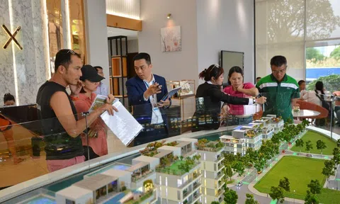 TTC Land tìm cách vượt khó