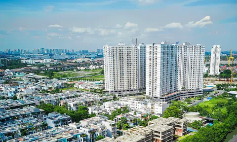 TTC Land hoàn thành kế hoạch lợi nhuận trước thuế năm 2024