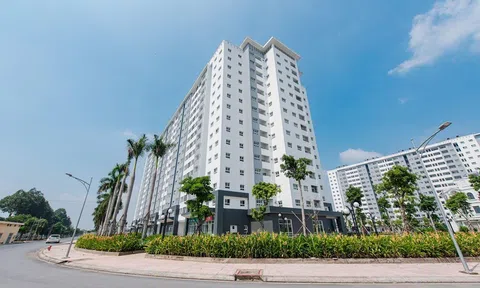 CONIC BOULEVARD - ĐẦU TƯ BỀN VỮNG CÙNG CÁC TIÊU CHUẨN VÀNG