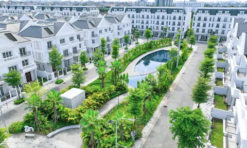 Ô nhiễm không khí trầm trọng, người dân Thủ đô tìm “lối thoát” cho sức khỏe