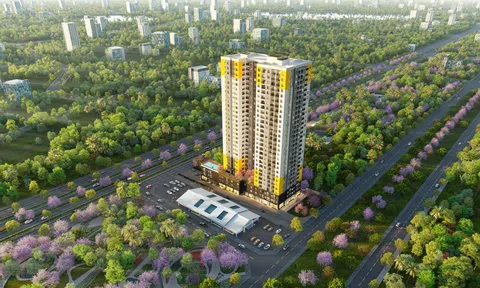 Bcons bắt tay cùng đối tác Nhật phát triển dự án thứ 16