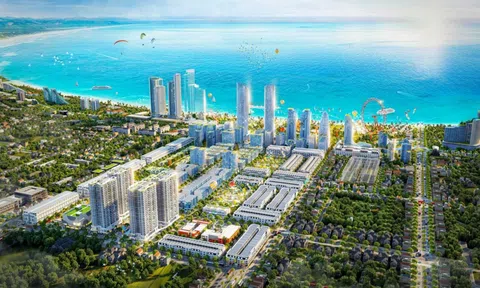 Sân bay Thành Sơn mở đường, đô thị biển Bình Sơn – Ninh Chữ cất cánh