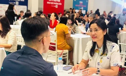 NOVAGROUP TỔ CHỨC HỘI THẢO NHÂN TÀI LẦN 2, MỞ RỘNG TUYỂN DỤNG QUY MÔ LỚN — KHẲNG ĐỊNH QUYẾT TÂM TRỞ LẠI ĐƯỜNG ĐUA TĂNG TRƯỞNG