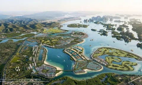 Hạ Long từ một kỳ quan để đến thăm trở thành một chuẩn sống để lựa chọn