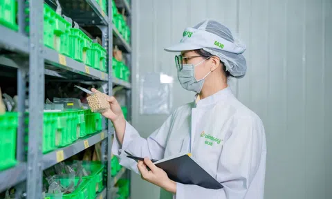 Từ “nâng tầm” đến “kiến tạo”: Vinasoy mở rộng phát triển dinh dưỡng thực vật